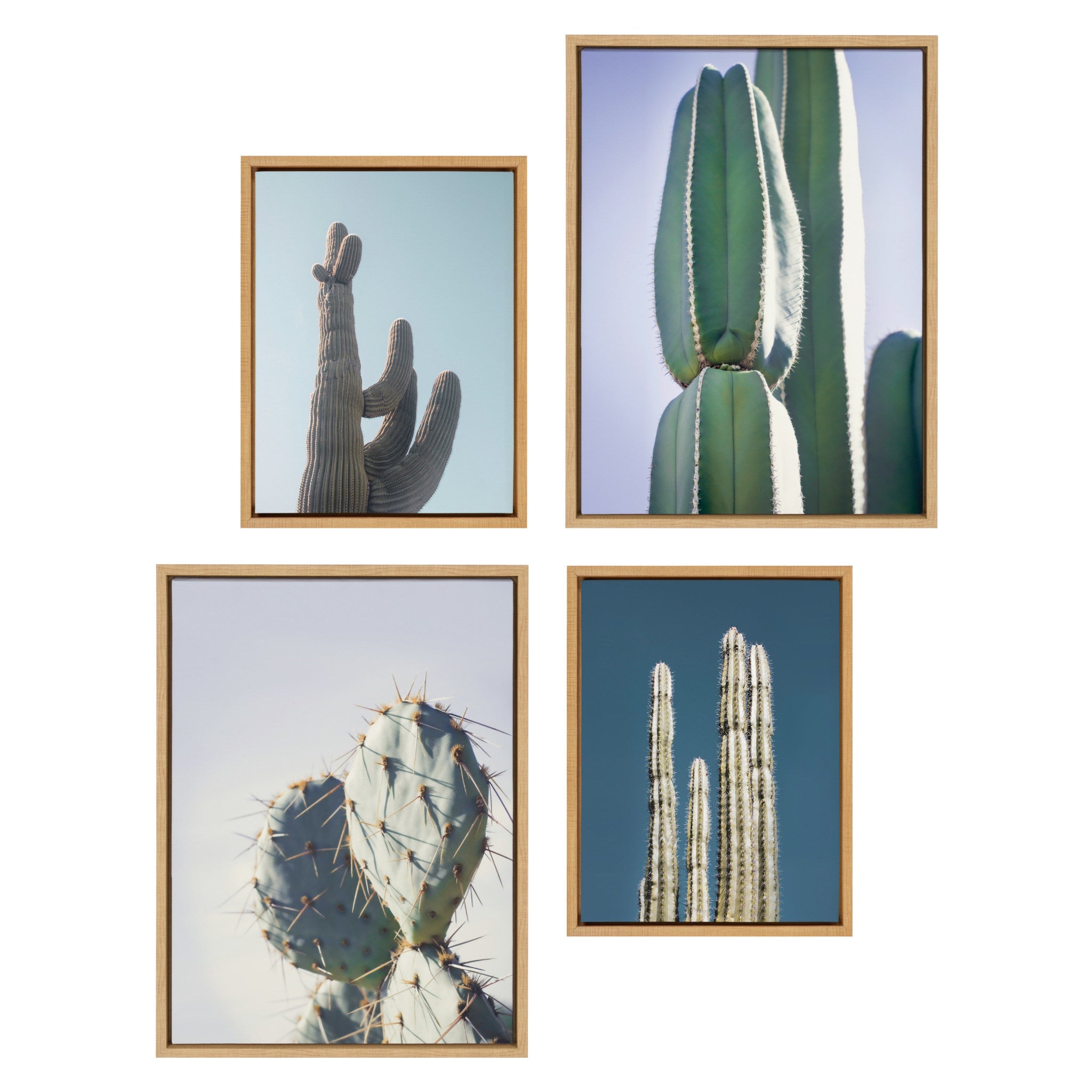 Framed canvas art set with four pastel cactus prints by Stephanie Klatt arranged on a wall