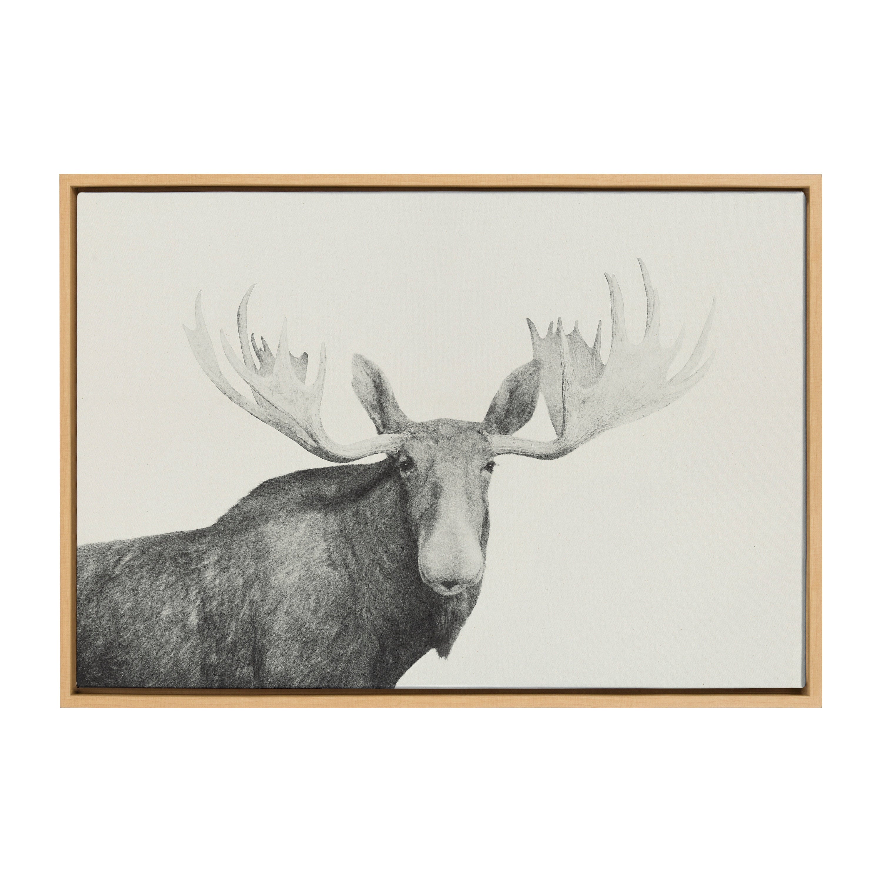 Sylvie Moose 2 crop BW Framed Canvas by kateandlaurel - product image 7 for Resin Society