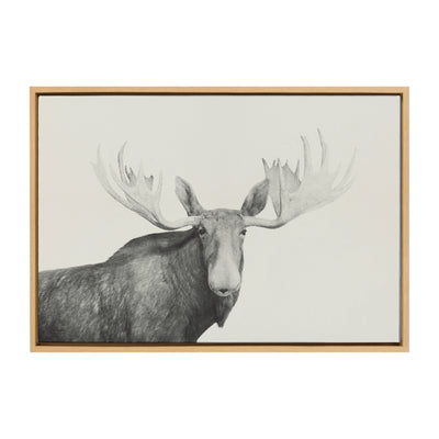 Sylvie Moose 2 crop BW Framed Canvas by kateandlaurel - product image 7 for Resin Society