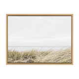 Sylvie East Beach Framed Canvas by Amy Peterson Art Studio by kateandlaurel - product image 9 for Resin Society