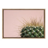 Sylvie Cactus 1 Framed Canvas by kateandlaurel - main product image for Resin Society