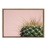 Sylvie Cactus 1 Framed Canvas by kateandlaurel - product image 7 for Resin Society