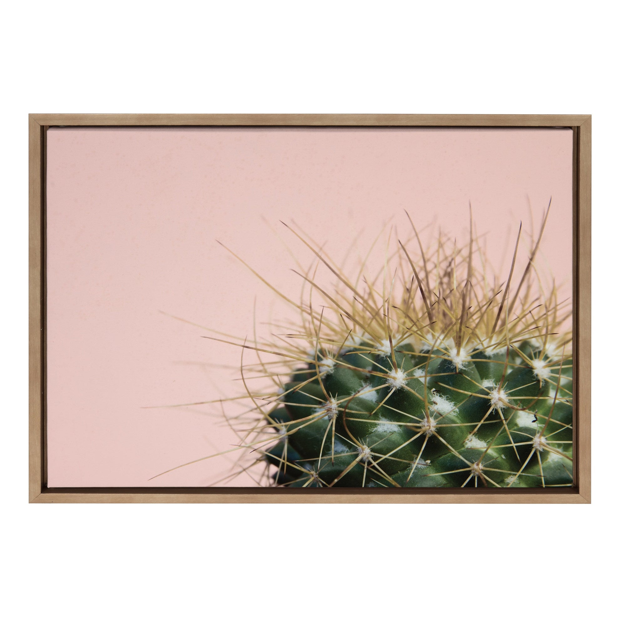 Sylvie Cactus 1 Framed Canvas by kateandlaurel - product image 7 for Resin Society