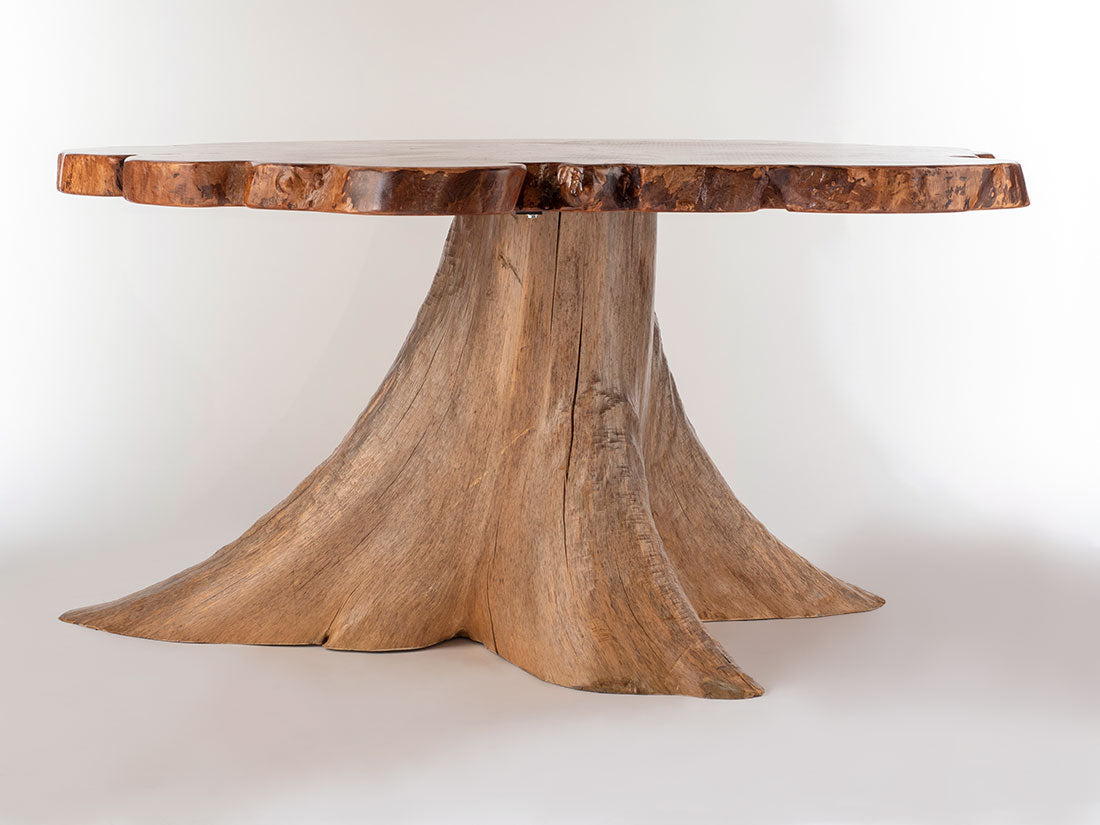 Silver Maple w/ Northern White Cedar Stump by Enrico Bartolini - main product image for Resin Society
