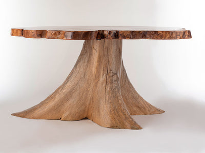 Silver Maple w/ Northern White Cedar Stump by Enrico Bartolini - main product image for Resin Society