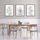 Sylvie Botanical Sketch Print No 2 Framed Canvas
