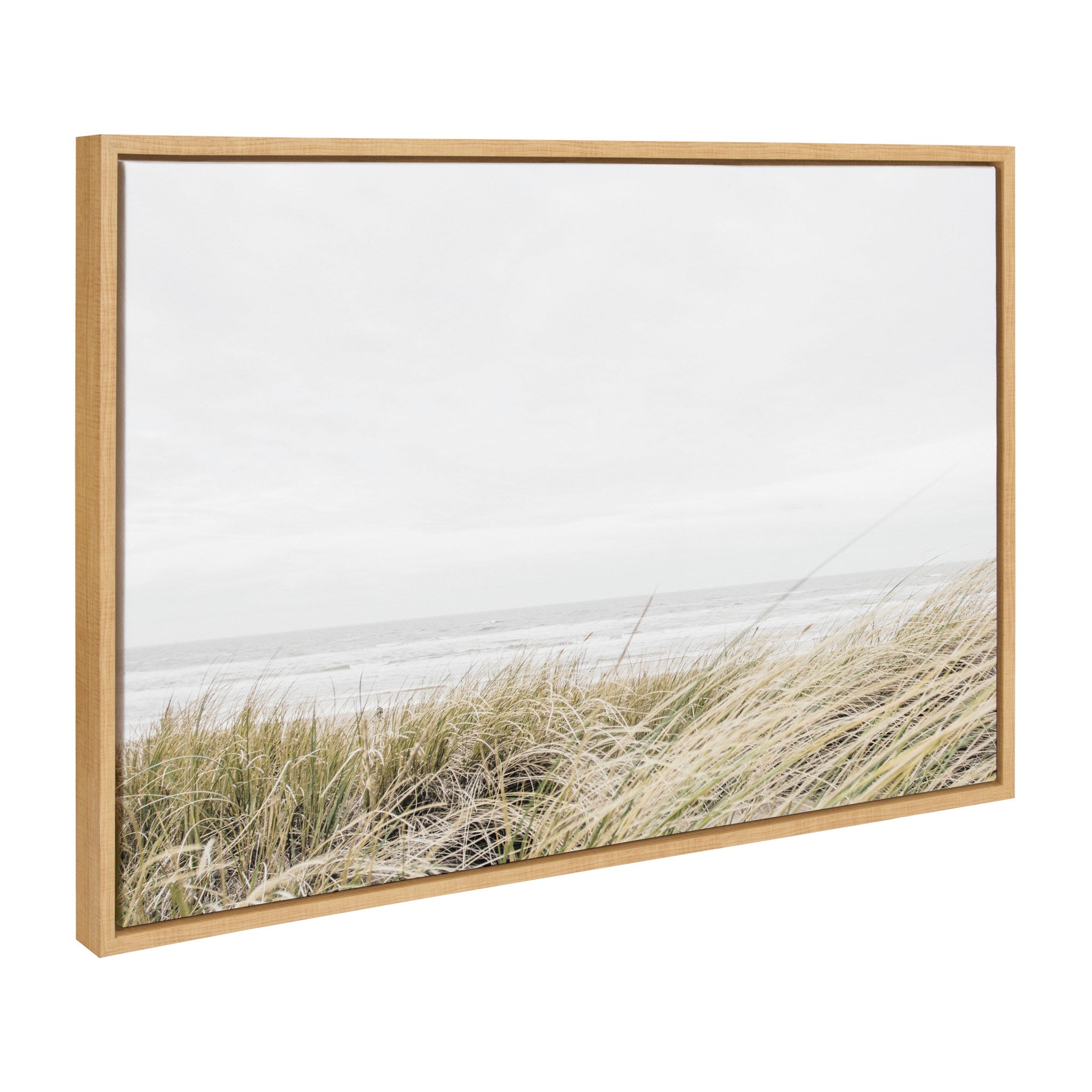 Sylvie East Beach Framed Canvas by Amy Peterson Art Studio by kateandlaurel - main product image for Resin Society