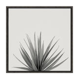 Sylvie Haze Agave Succulent Framed Canvas by The Creative Bunch Studio by kateandlaurel - product image 10 for Resin Society