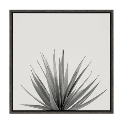 Sylvie Haze Agave Succulent Framed Canvas by The Creative Bunch Studio by kateandlaurel - product image 10 for Resin Society
