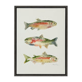 Sylvie Rainbow Trout Framed Canvas by Cathy Zhang by kateandlaurel - product image 2 for Resin Society
