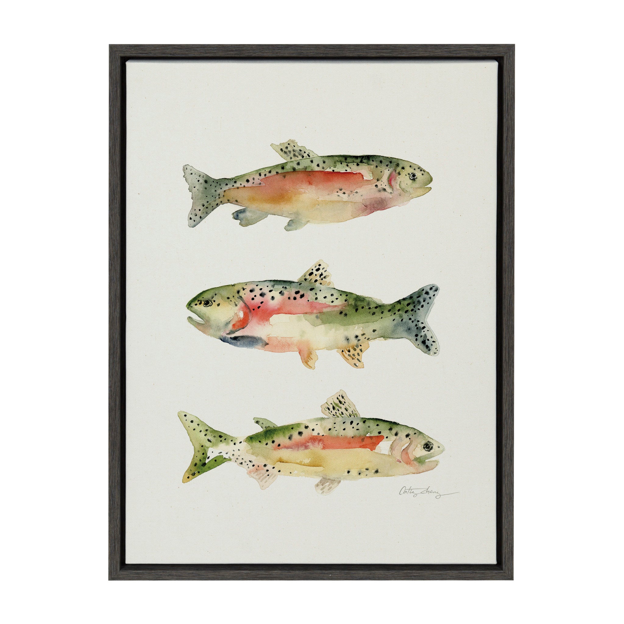 Sylvie Rainbow Trout Framed Canvas by Cathy Zhang by kateandlaurel - product image 2 for Resin Society