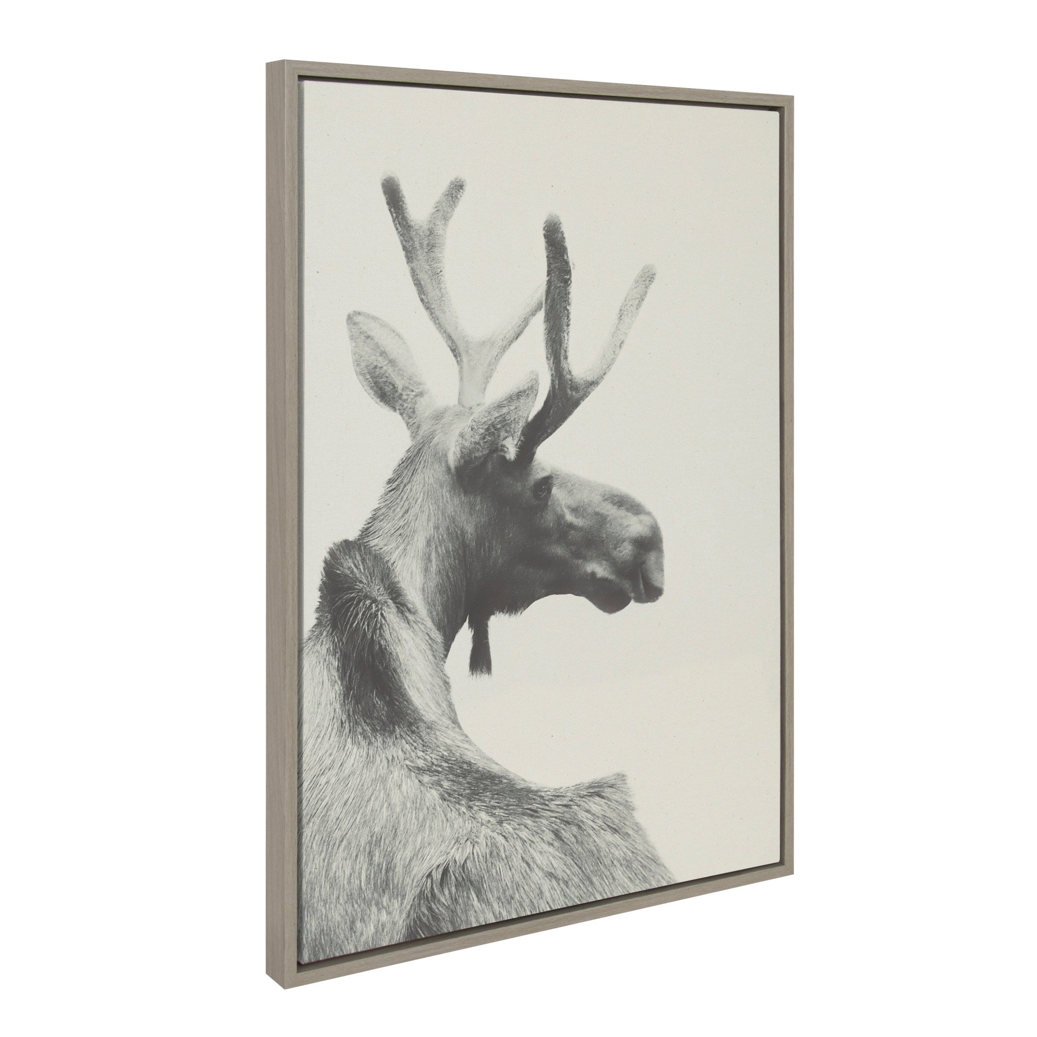 Sylvie Moose BW Framed Canvas by kateandlaurel - product image 2 for Resin Society