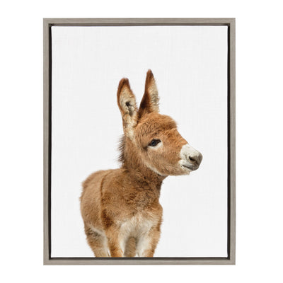 Sylvie Animal Studio Burro framed canvas art showing a burro portrait with gray floating frame