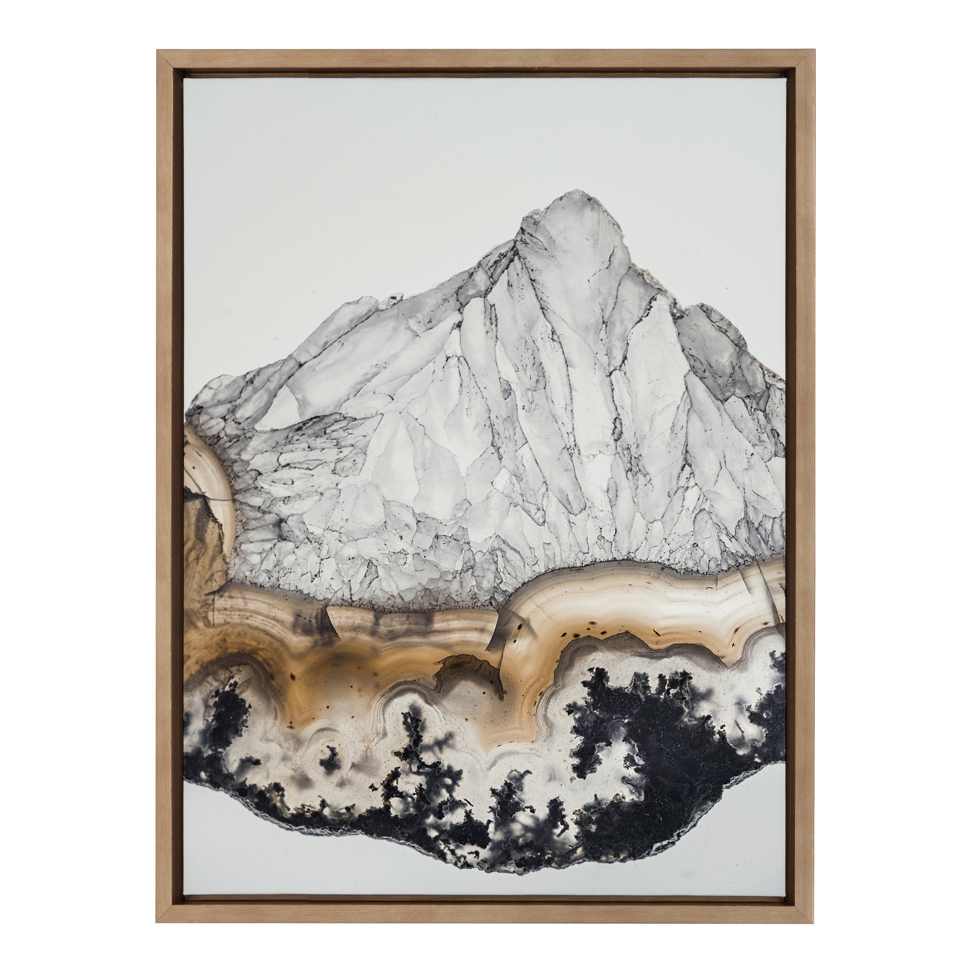 Sylvie Ancient History Framed Canvas by kateandlaurel - product image 9 for Resin Society