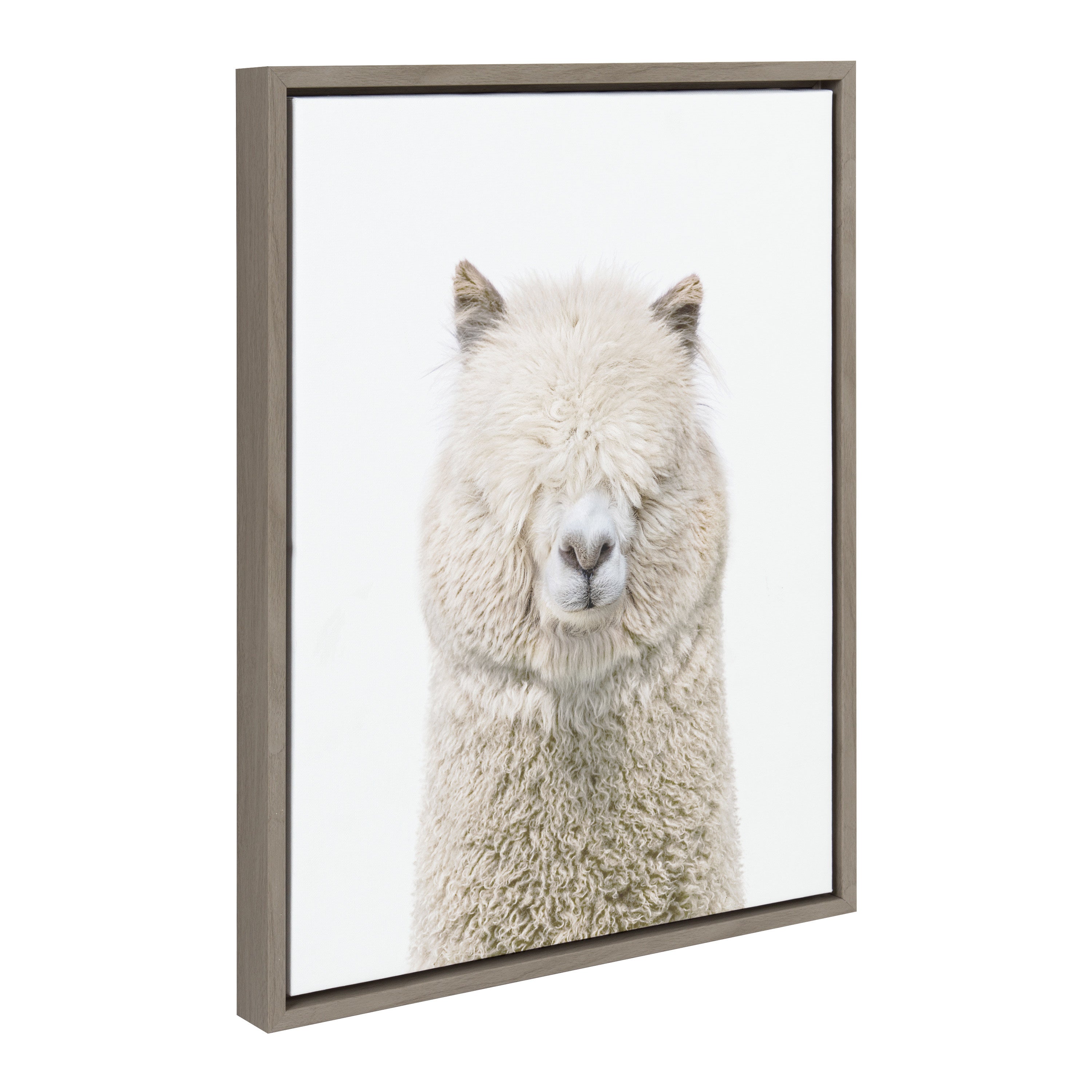 Sylvie Alpaca Fluff Framed Canvas by Amy Peterson Art Studio by kateandlaurel - product image 11 for Resin Society