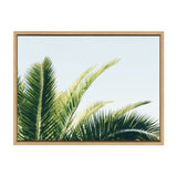Sylvie Tropical Palm Under Blue Sky Framed Canvas by kateandlaurel - product image 7 for Resin Society