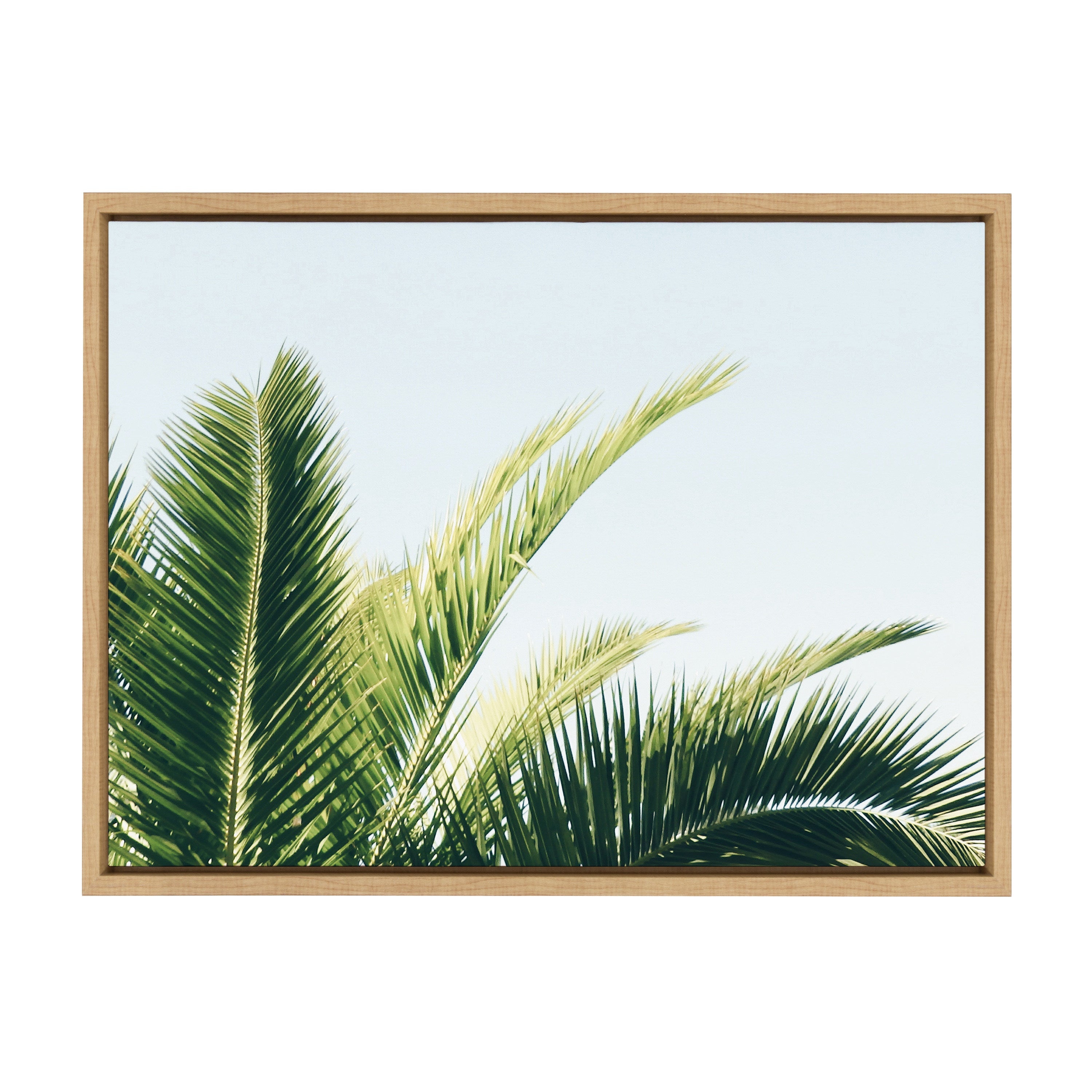 Sylvie Tropical Palm Under Blue Sky Framed Canvas by kateandlaurel - product image 7 for Resin Society