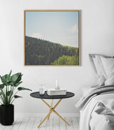 Sylvie Above the Tree Line Framed Canvas by Laura Evans by kateandlaurel - product image 5 for Resin Society