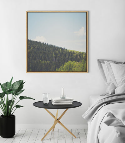 Sylvie Above the Tree Line Framed Canvas by Laura Evans by kateandlaurel - product image 5 for Resin Society