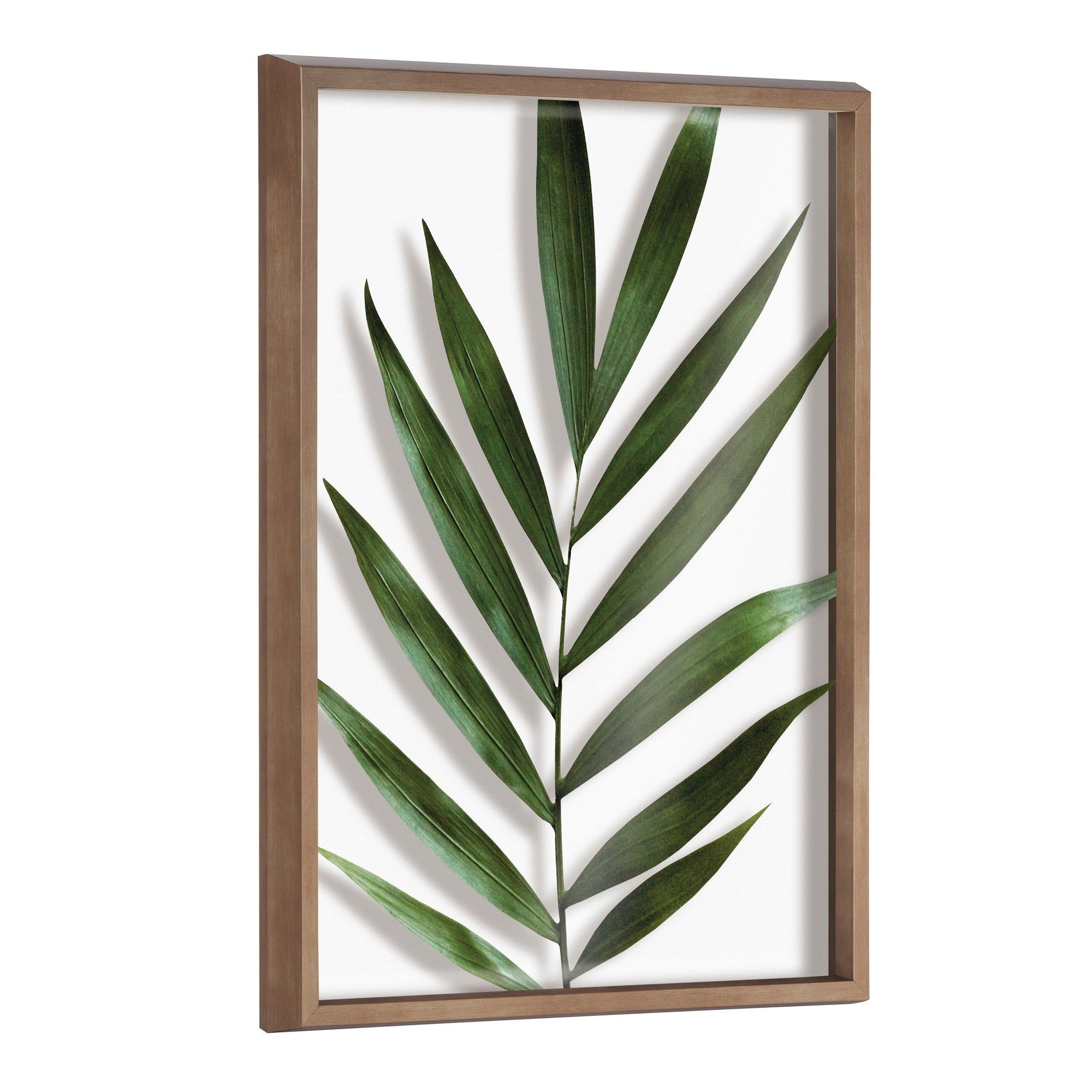 Blake Botanical 5F Framed Printed Glass by Amy Peterson by kateandlaurel - main product image for Resin Society