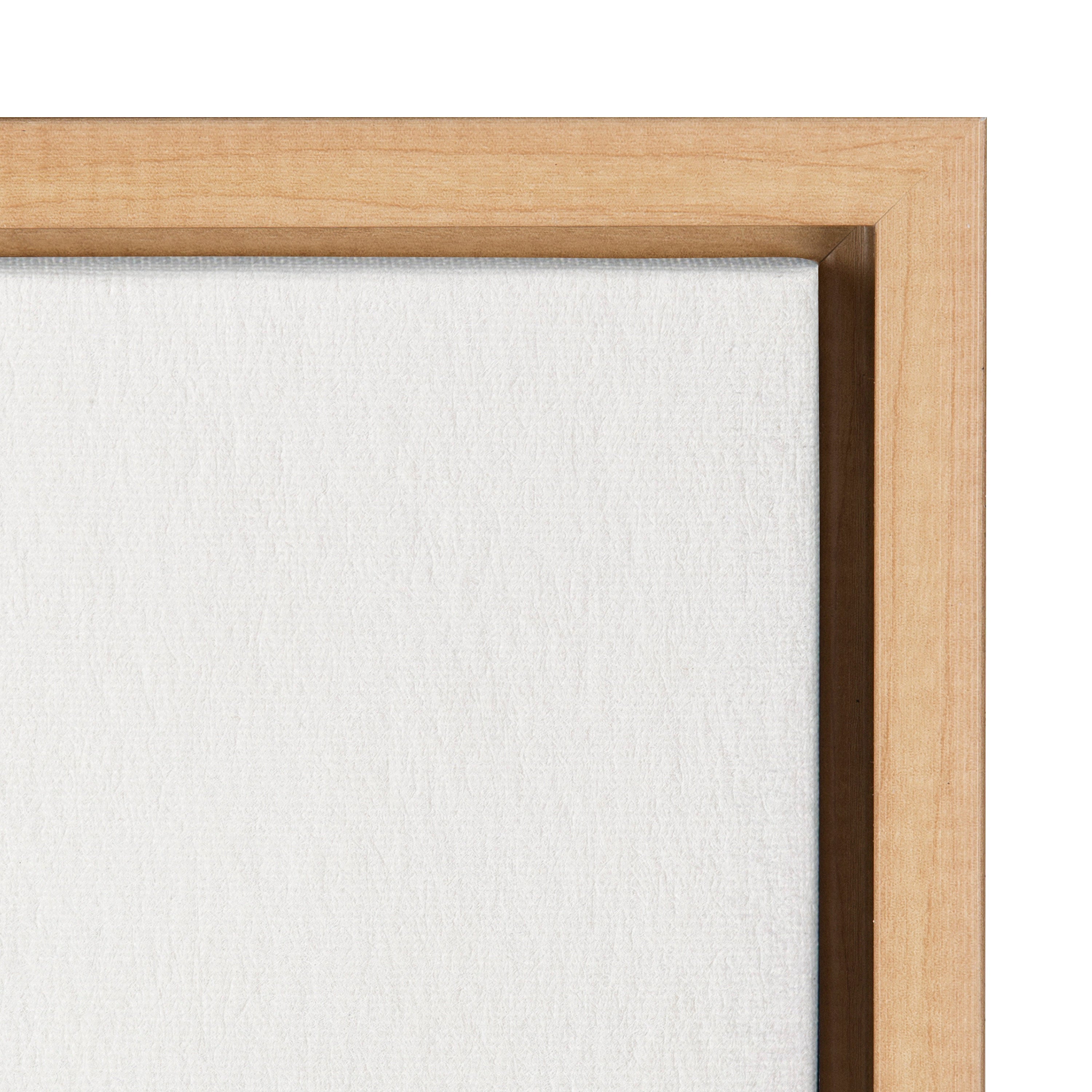 Sylvie Ruscus Framed Canvas by kateandlaurel - product image 3 for Resin Society