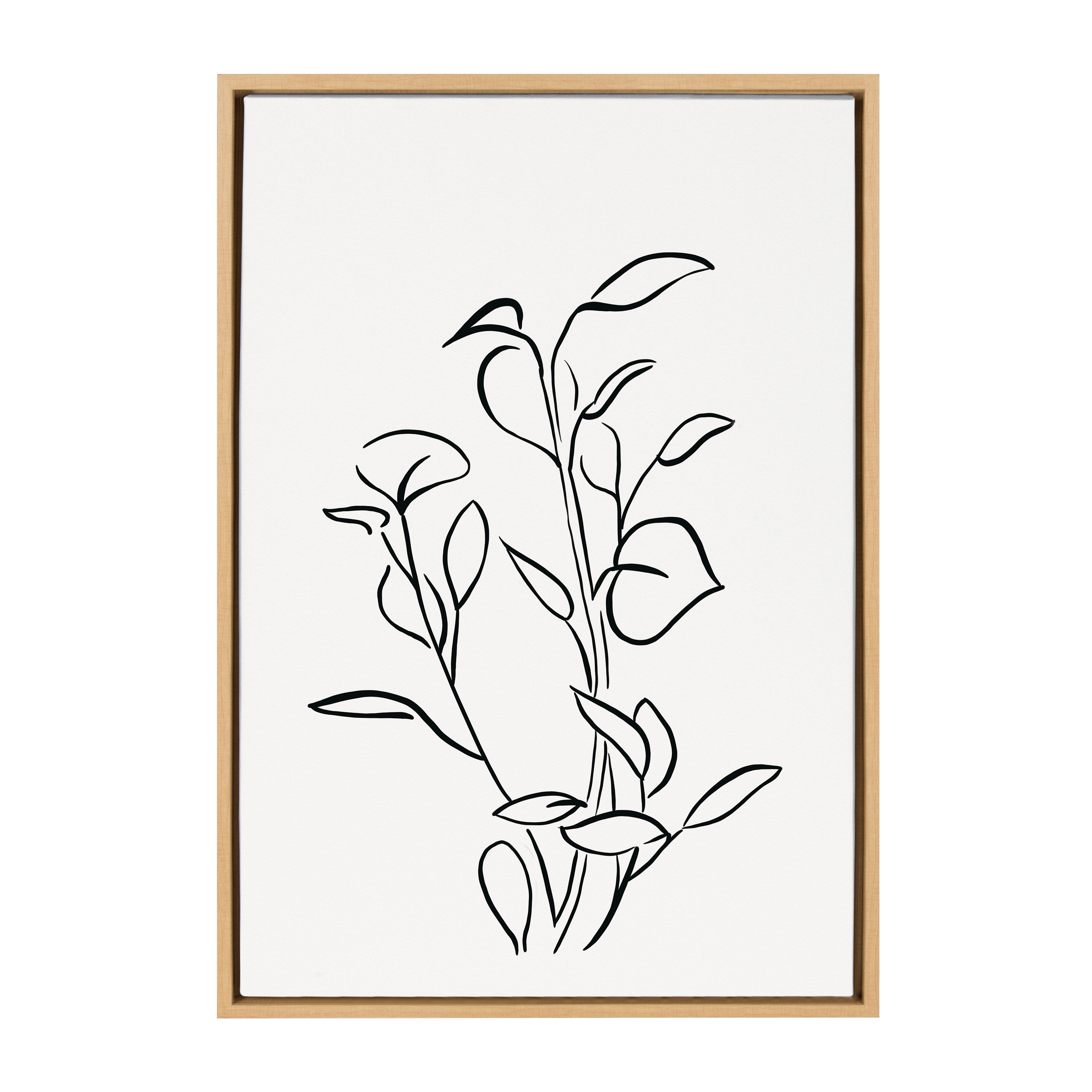 Sylvie Botanical Sketch Print No 2 Framed Canvas