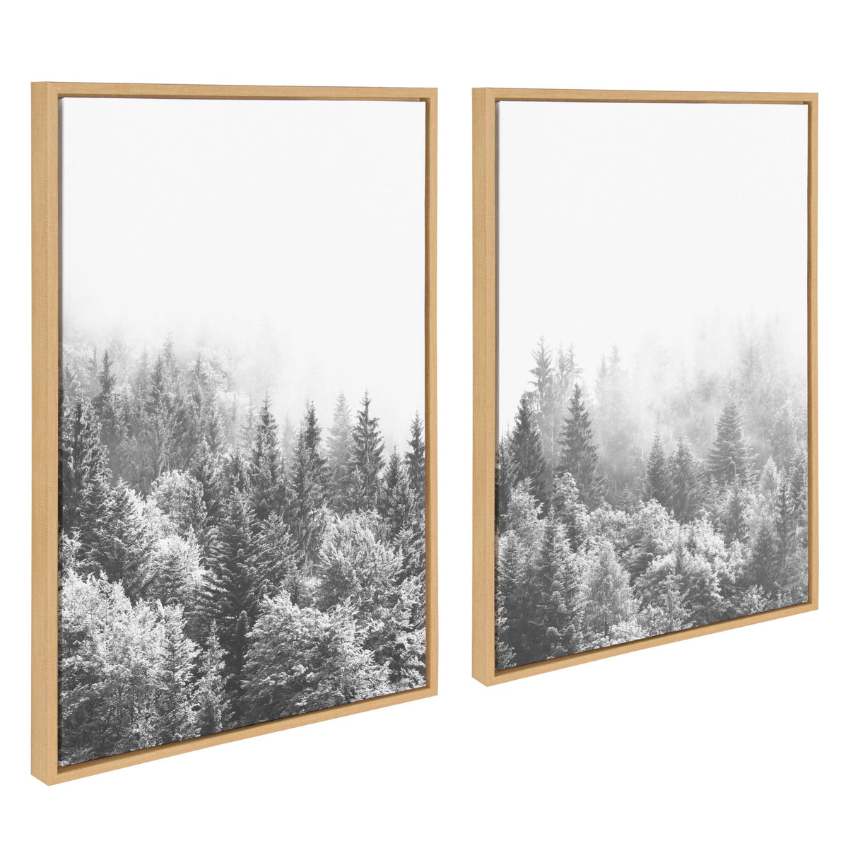 Sylvie Forest On A Foggy Day Black and White Framed Canvas Set by The by kateandlaurel - product image 2 for Resin Society