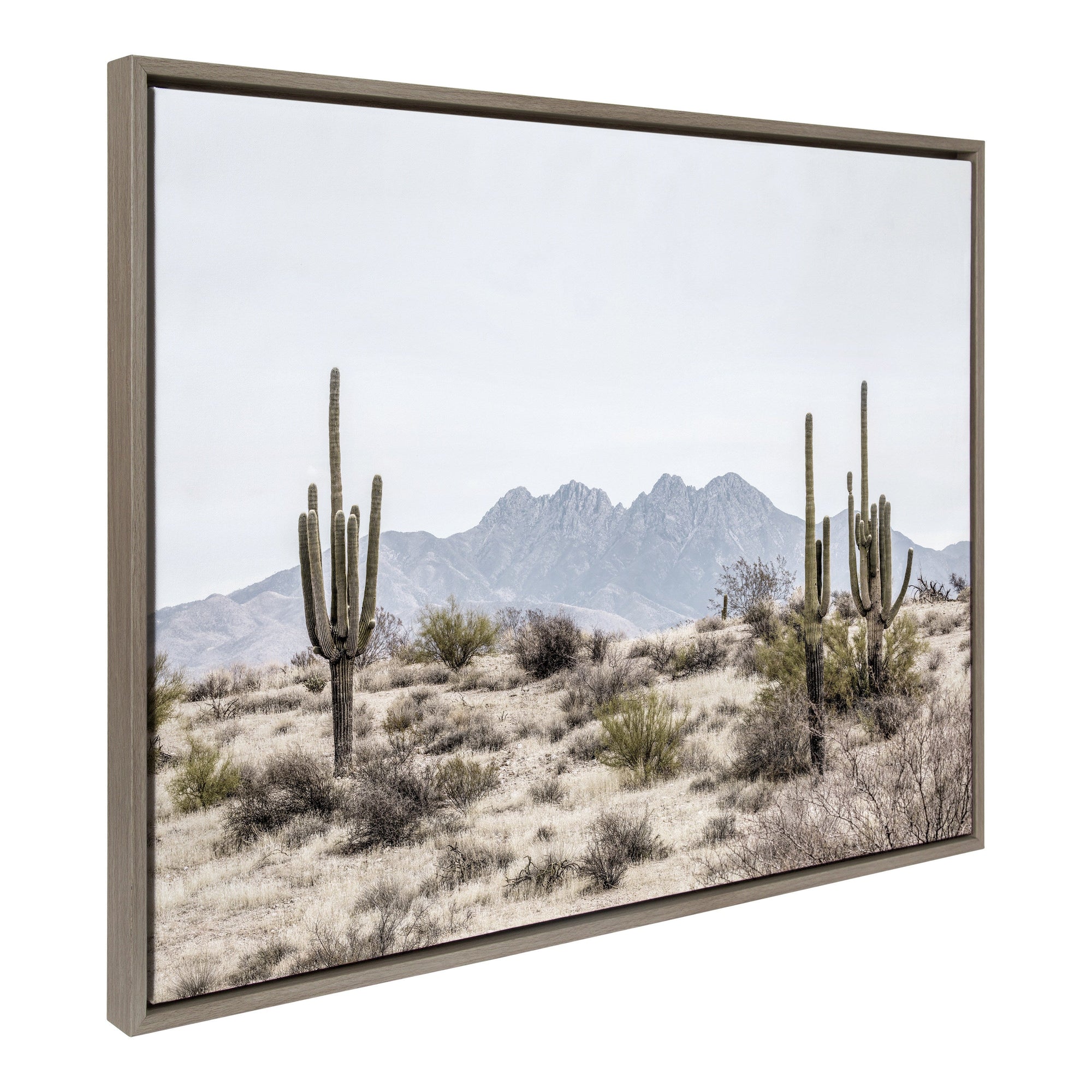 Sylvie Tall Saguaro Cacti Desert Mountain Framed Canvas by kateandlaurel - product image 8 for Resin Society