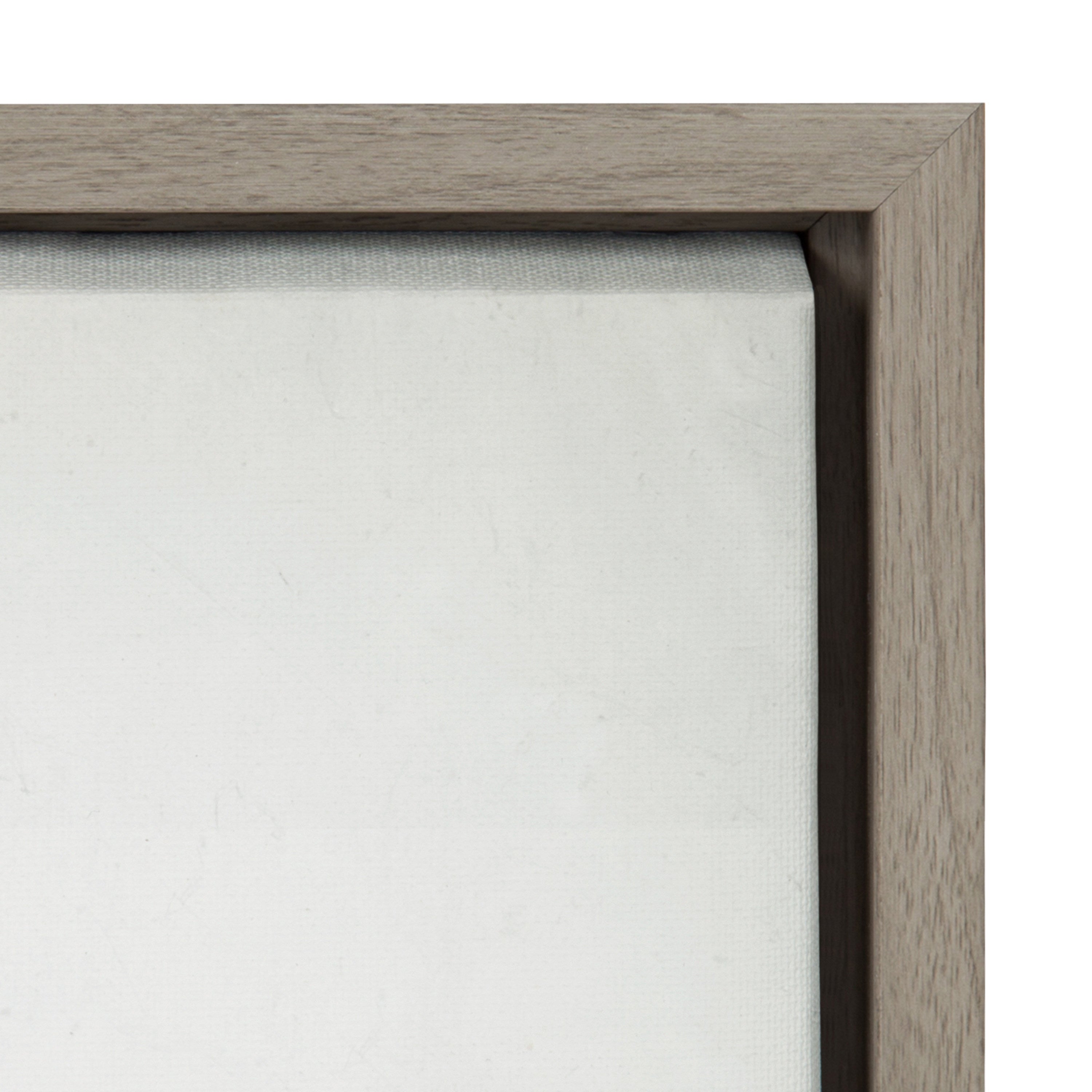 Sylvie Succulent 5 Framed Canvas by F2 Images by kateandlaurel - product image 3 for Resin Society