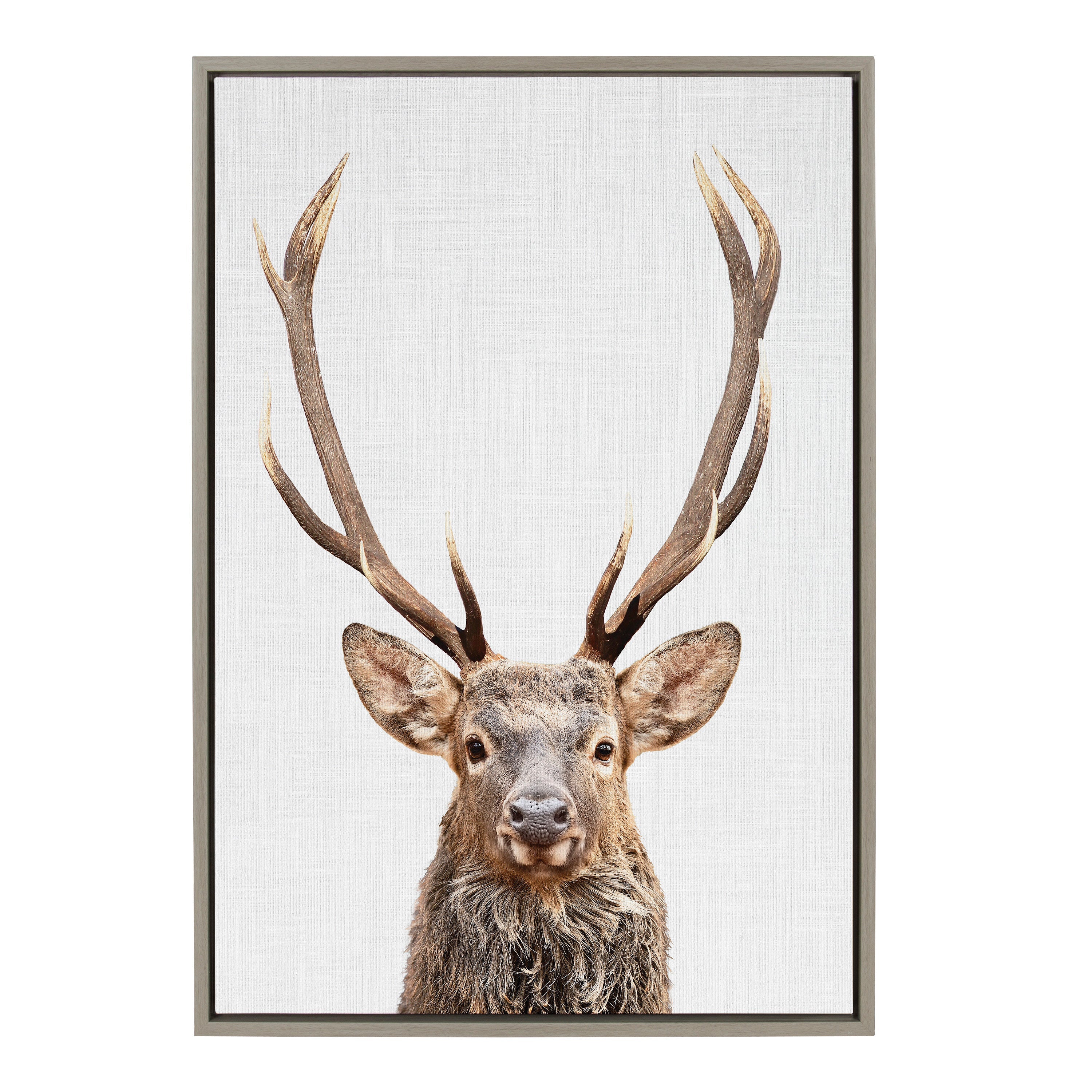 Sylvie The Red Deer Color Framed Canvas by Simon Te of Tai Prints by kateandlaurel - product image 2 for Resin Society
