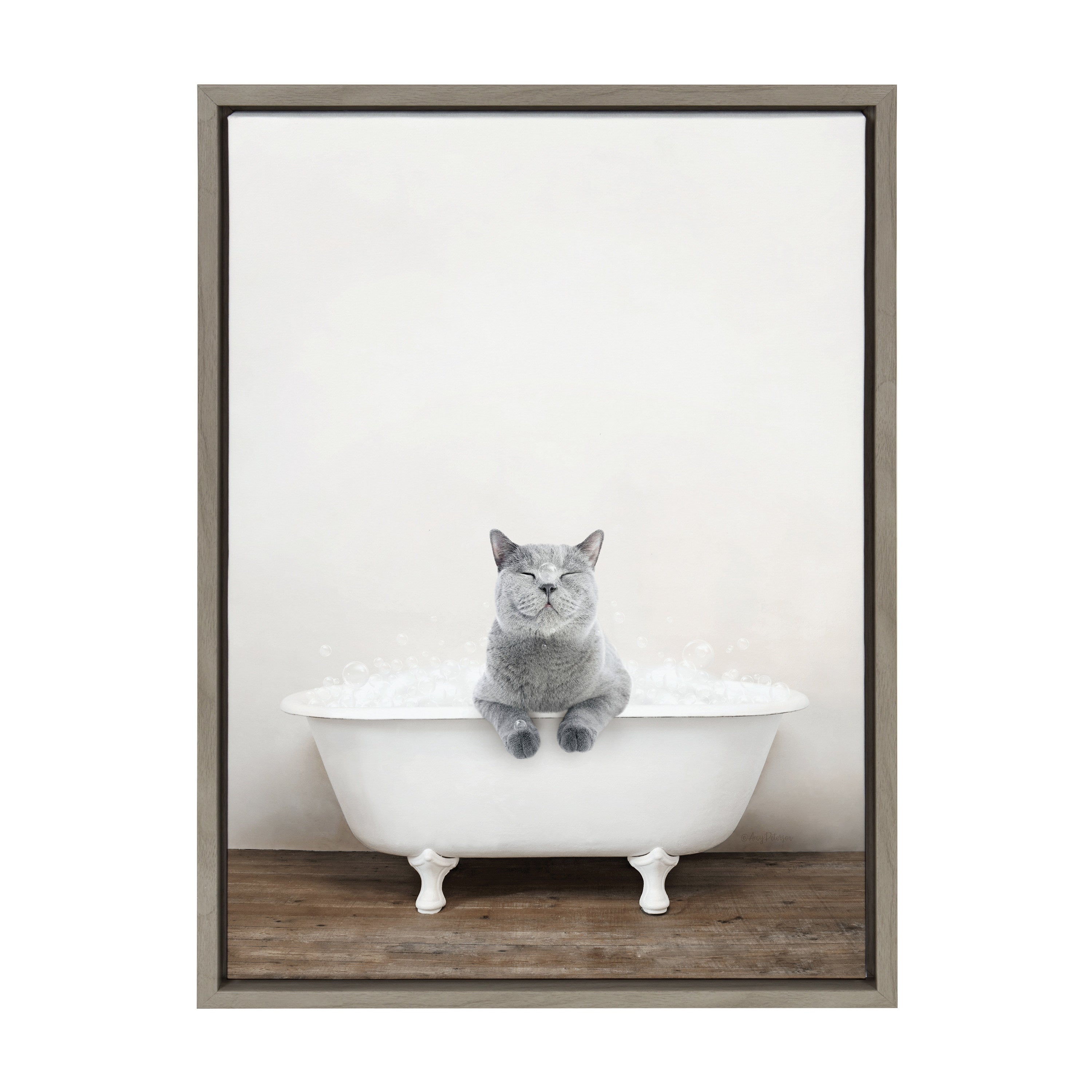 Sylvie Cat in Rustic Bath Framed Canvas by kateandlaurel - product image 2 for Resin Society