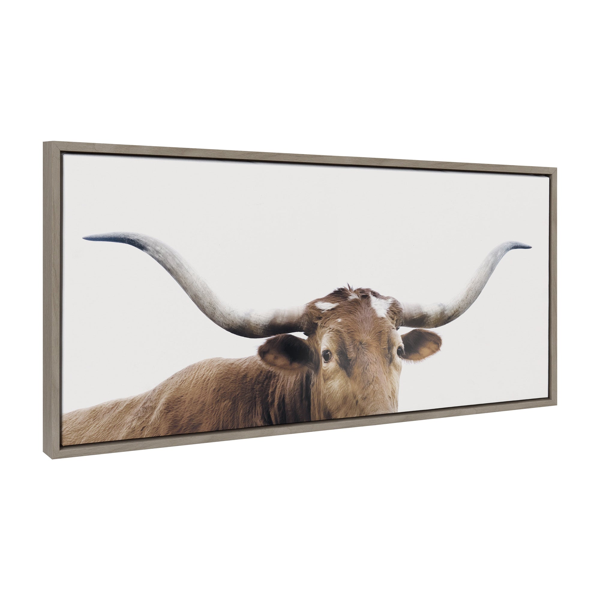 Sylvie Texas Longhorn Framed Canvas by kateandlaurel - main product image for Resin Society