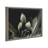Blake Salutation framed printed art showing a moody succulent photograph in a gray lightweight frame