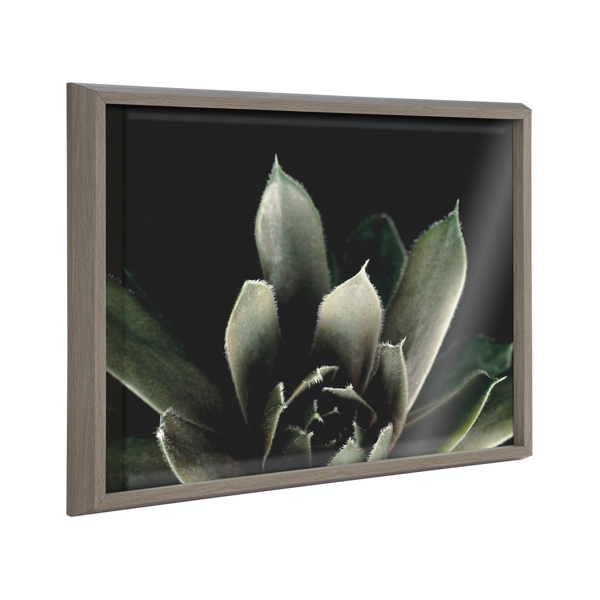 Blake Salutation framed printed art showing a moody succulent photograph in a gray lightweight frame