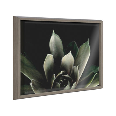 Blake Salutation framed printed art showing a moody succulent photograph in a gray lightweight frame
