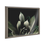 Close-up of a green succulent with thick, pointed leaves against a black background in a medium-tone wooden frame shown at an angle.