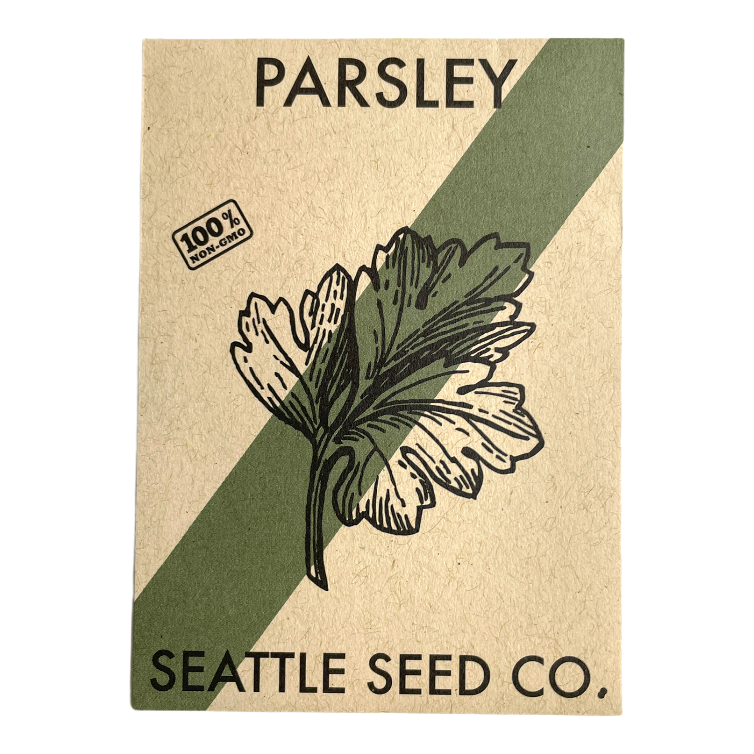 Dark Green Italian Flat Leaf Parsley Seeds packet and growing parsley plants