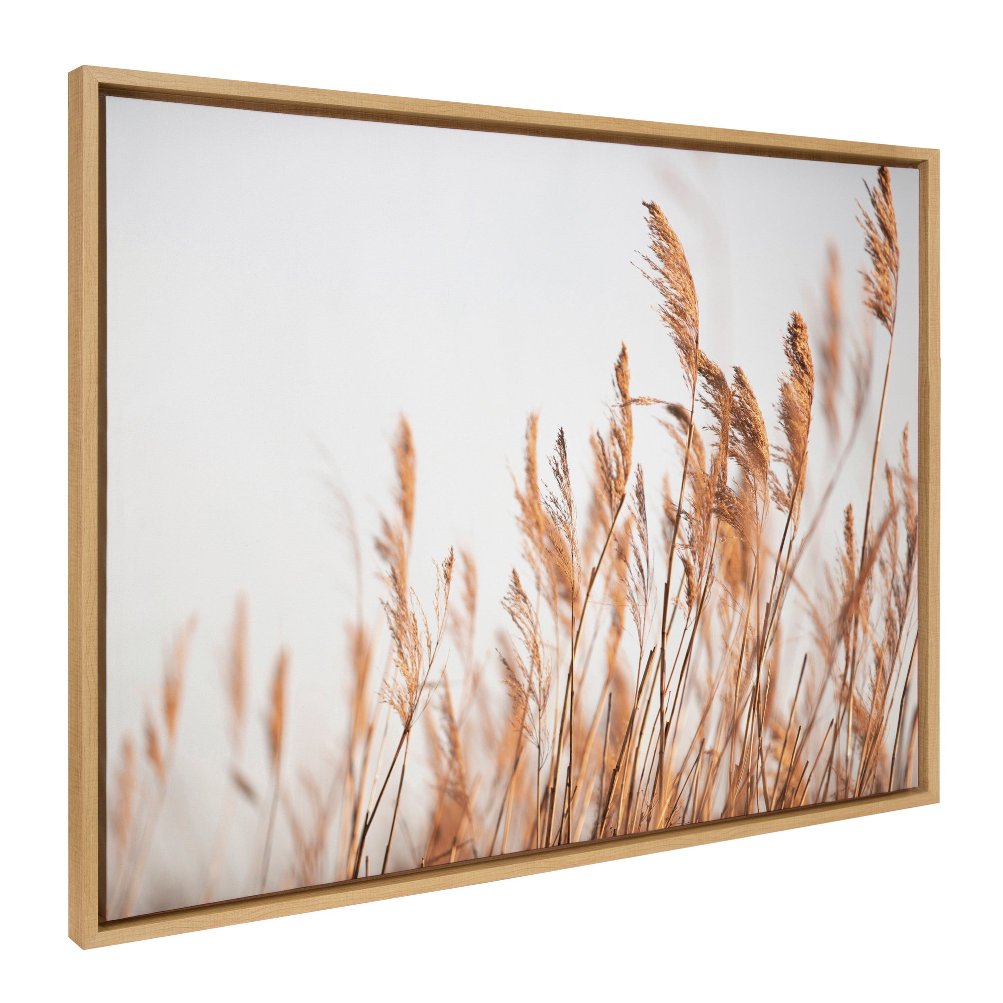 Sylvie Marsh Grass No 4 Framed Canvas by kateandlaurel - product image 7 for Resin Society