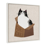 Sylvie Furuit Cake Framed Canvas showing a kitten nestled inside a box, floating polystyrene frame in white, 22x22 inches