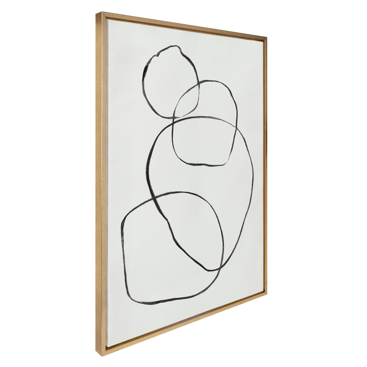 Sylvie 869 Going in Circles Framed Canvas by kateandlaurel - product image 2 for Resin Society