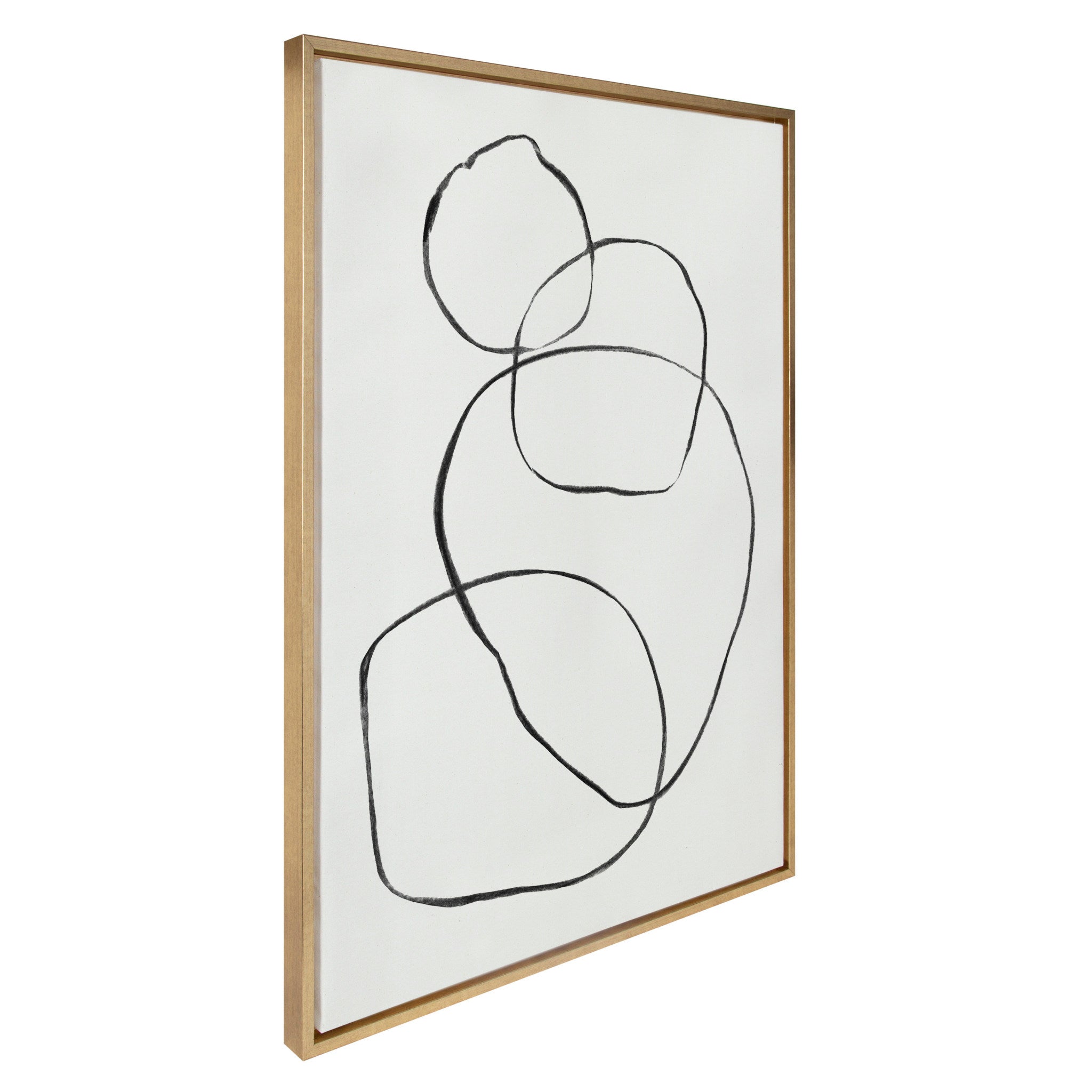 Sylvie 869 Going in Circles Framed Canvas by kateandlaurel - product image 2 for Resin Society