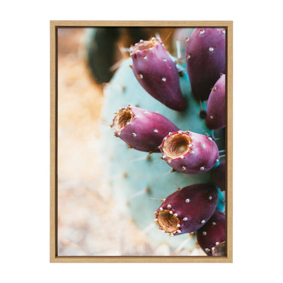 Sylvie Arizona Prickly Pear Cactus Framed Canvas by Stephanie Klatt