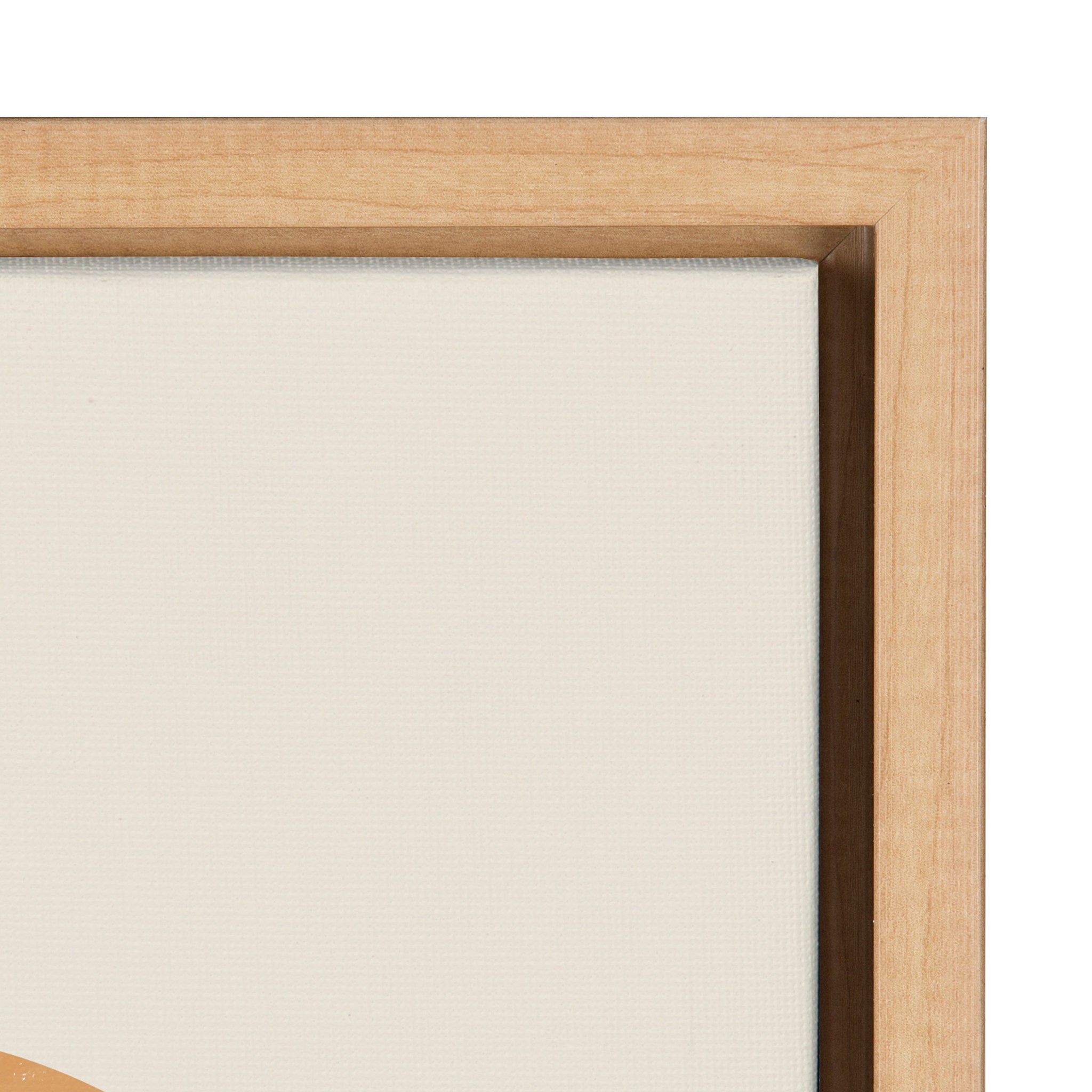 Sylvie Desert Sand Framed Canvas by kateandlaurel - product image 3 for Resin Society