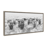 Sylvie Herd of Highland Cows Black and White Framed Canvas by The by kateandlaurel - product image 5 for Resin Society