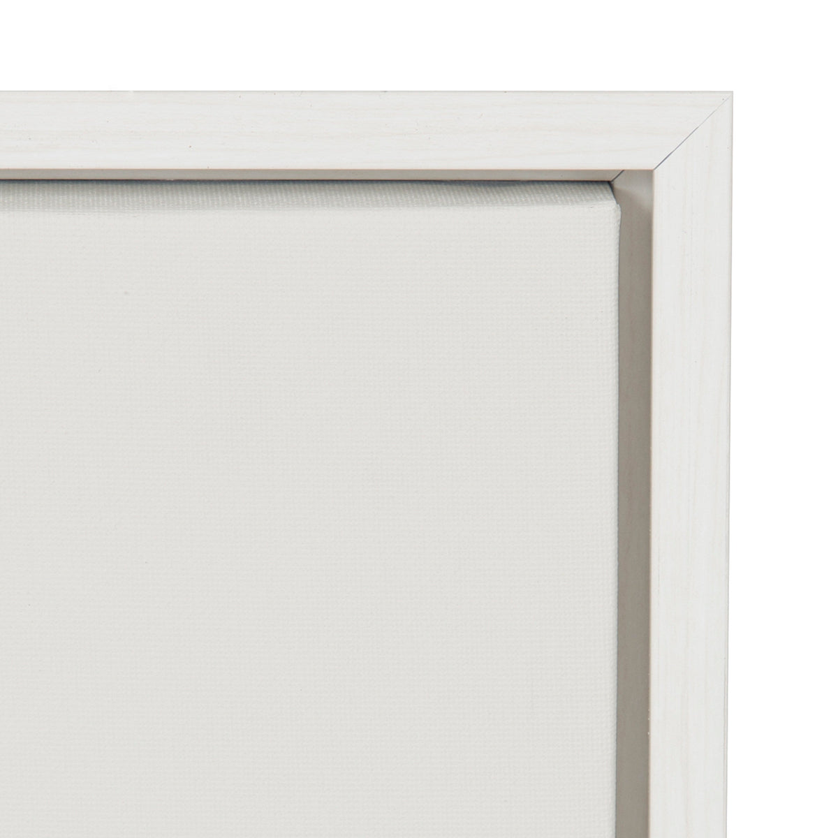 Sylvie Haze Aloe Succulent Framed Canvas by The Creative Bunch Studio by kateandlaurel - product image 3 for Resin Society