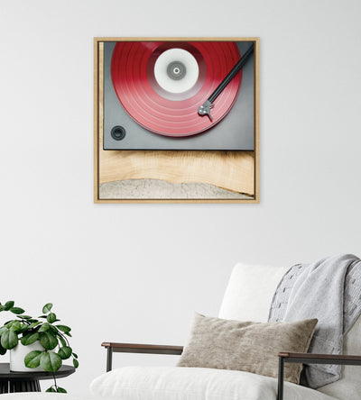 Sylvie Vinyl Vibes Color Framed Canvas by Emiko and Mark Franzen