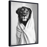 Black and white photo of a lion wrapped in a soft towel, looking directly ahead with a calm expression against a plain background.