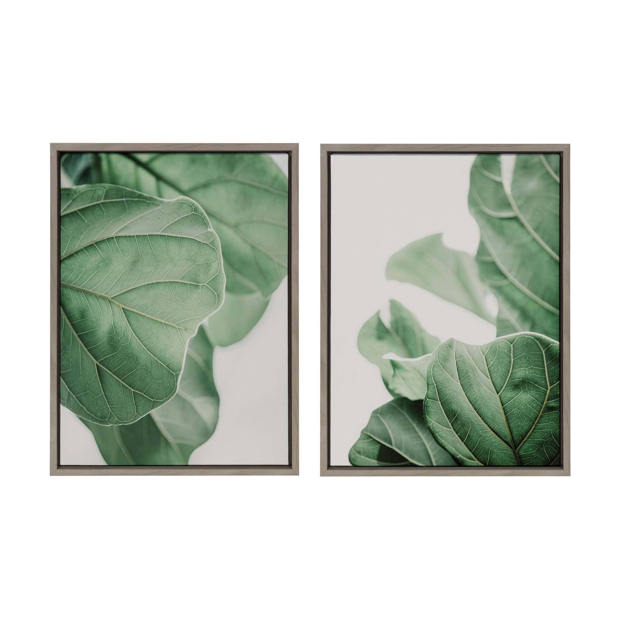 Sylvie Plant Study 6 and Plant Study 7 Framed Canvas Set by Alicia Abla by kateandlaurel - product image 7 for Resin Society