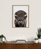 Frontal portrait of a dark brown bison with curved horns on a white background, framed in natural wood and hung above a wooden dresser with plants and books.