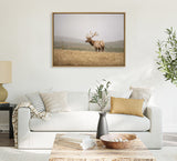 Sylvie Tule Elk No 3 Framed Canvas by kateandlaurel - product image 10 for Resin Society